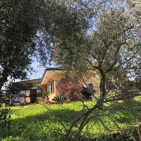 Friuli Alloggio in famiglia Nettuno