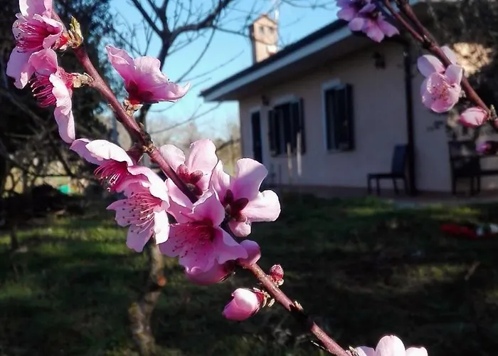 Friuli Alloggio in famiglia