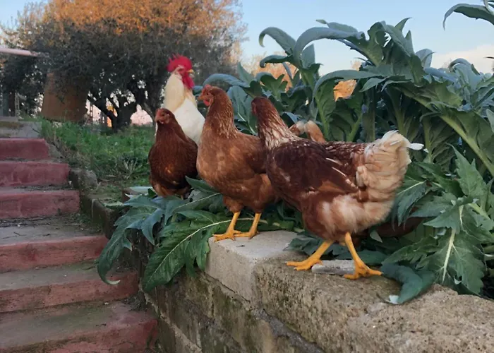Friuli Alloggio in famiglia *