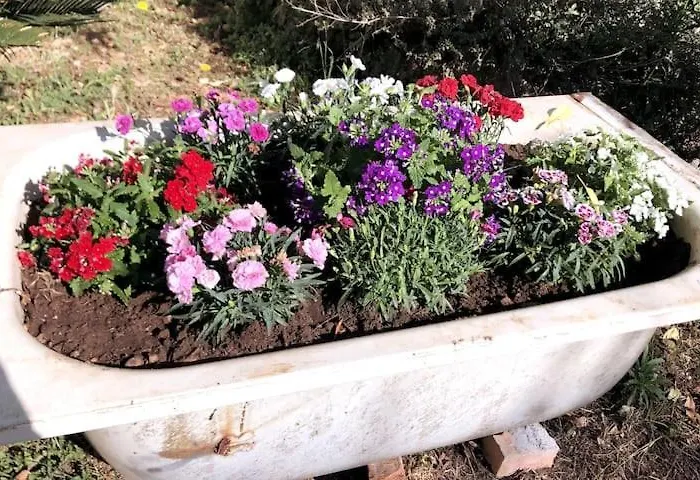 Friuli Alloggio in famiglia *