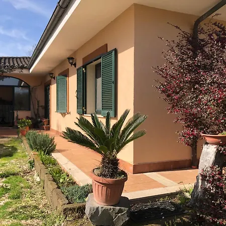 Friuli * ネットゥーノ