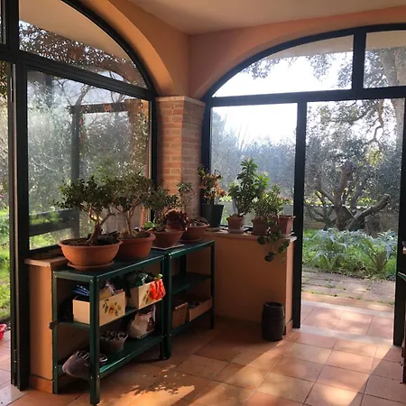 Friuli * ネットゥーノ