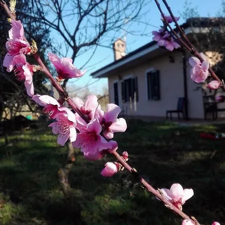 Friuli ホームステイ