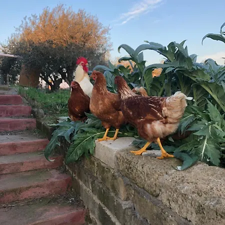 Friuli ホームステイ *