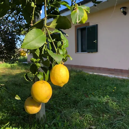 Friuli Privat bolig *