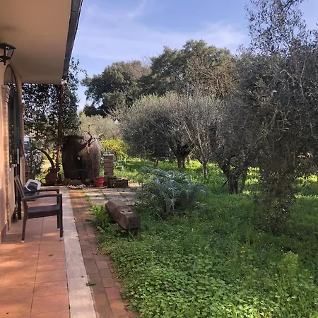 Friuli * ネットゥーノ