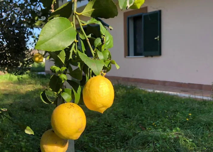 Friuli Homestay szállás *