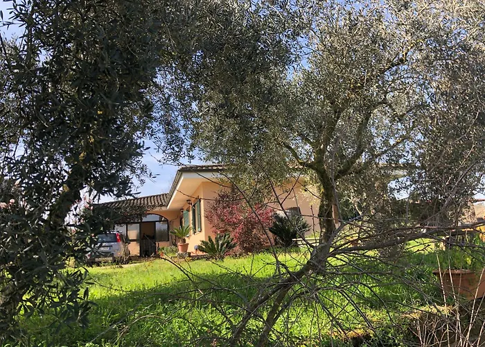 Friuli Homestay szállás Nettuno